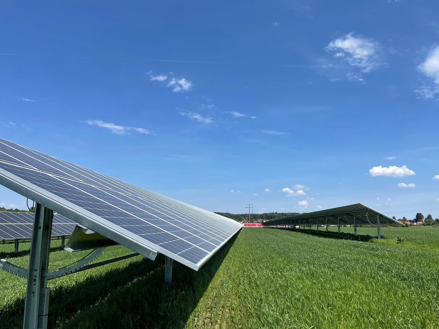 Solarpanele auf grünem Feld mit blauem Himmel bei einer Agri-PV Anlage